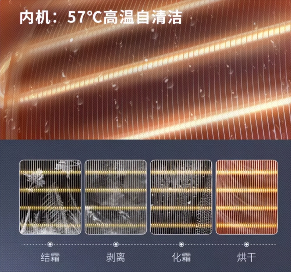 孙俪代言澳柯玛高清照片,孙俪代言澳柯玛冰箱是哪个