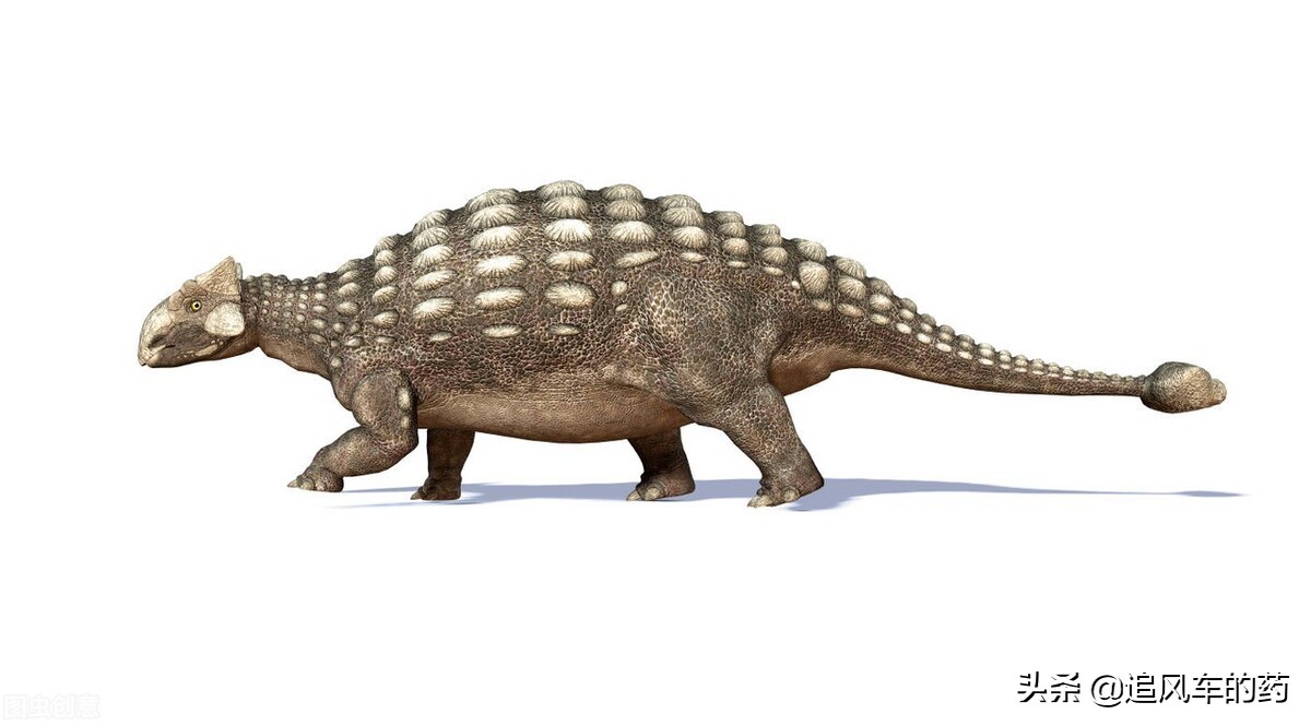 恐龙世界最强的十大恐龙,恐龙世界盘点最强大的恐龙