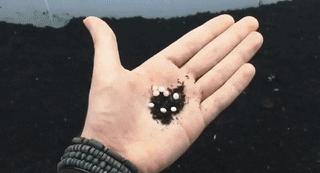 世界上最奇特的钞票有哪些,世界上最奇怪的钞票