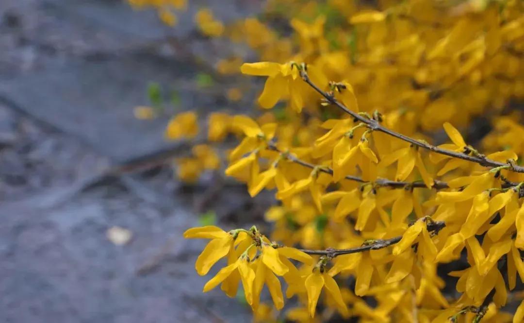 趣味答题赛介绍,趣味答题活动报道