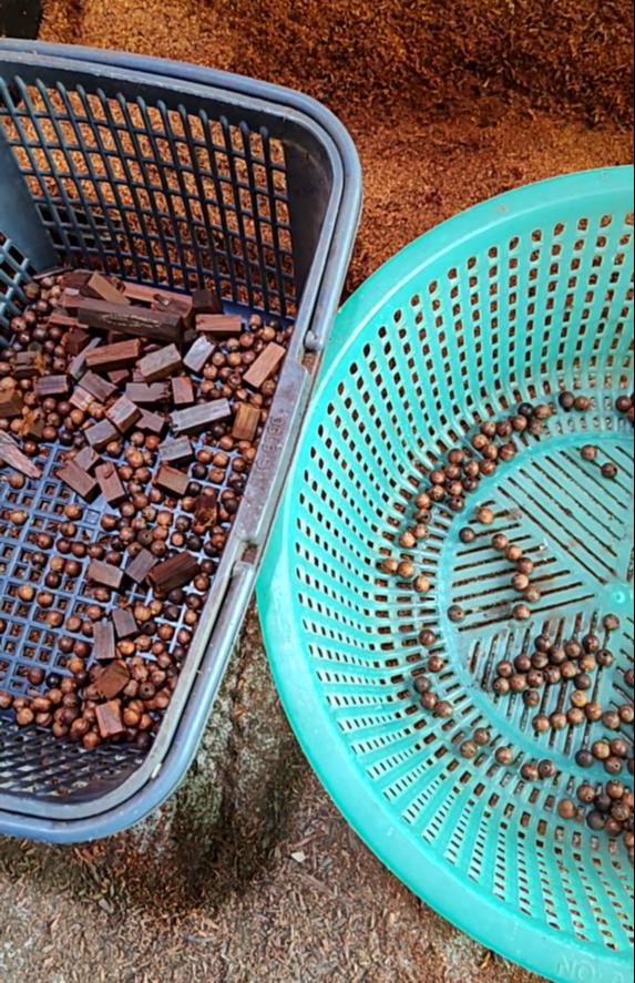 小叶紫檀雕刻佛珠视频,小叶紫檀节节高升佛珠手链