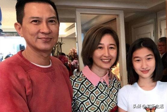 何家劲版中华英雄1-42集电视剧,何家劲版中华英雄续集