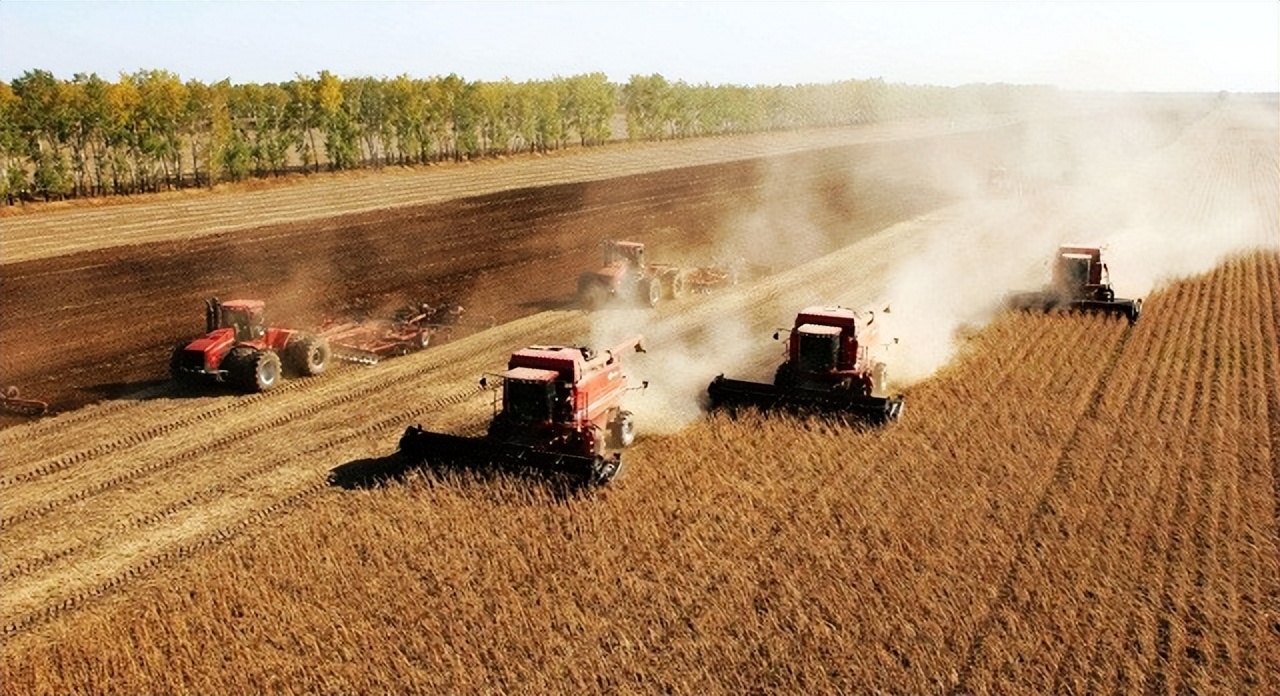 中粮集团2023世界排名,中粮17家上市公司表