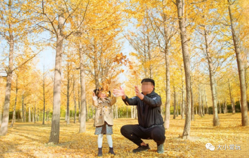 京城赏秋打卡胜地,北京赏秋小众景区
