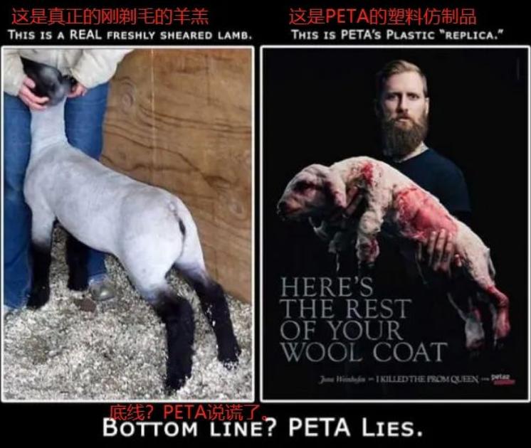 靠审丑年销500万双，这家爆火鞋牌，凭什么带火中国小村？