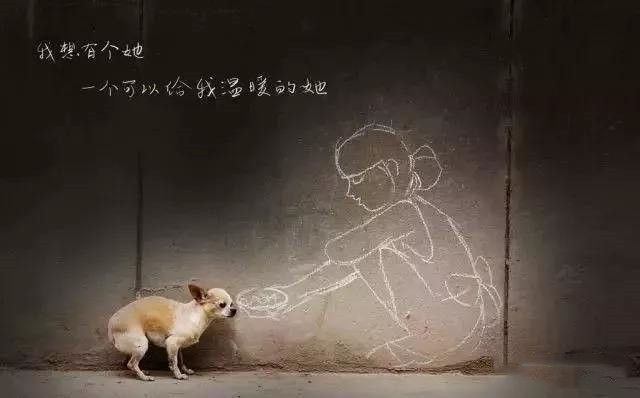 猫咪领养代替购买,为什么人们不愿意领养孩子