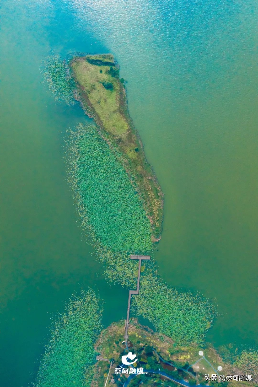 未来湖北武汉,蔡甸未来最好的地段