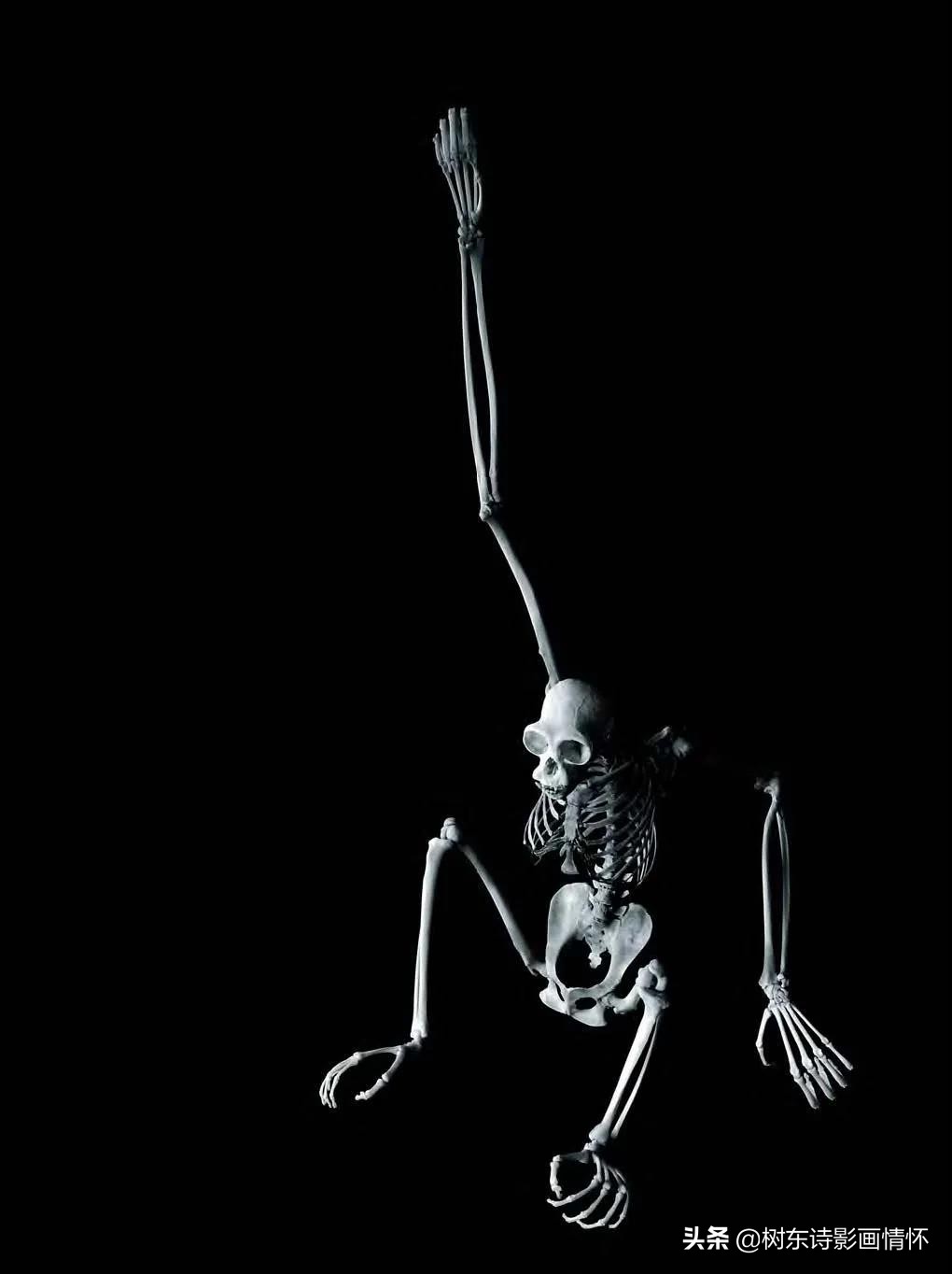 摄影美到极致令人一见倾心,旧景摄影别样美