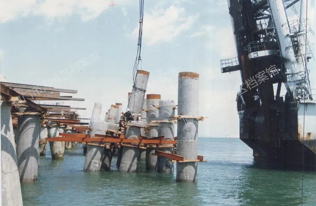 四十年逐梦深蓝：全球大港从“量”到“质”的蝶变|港口圈