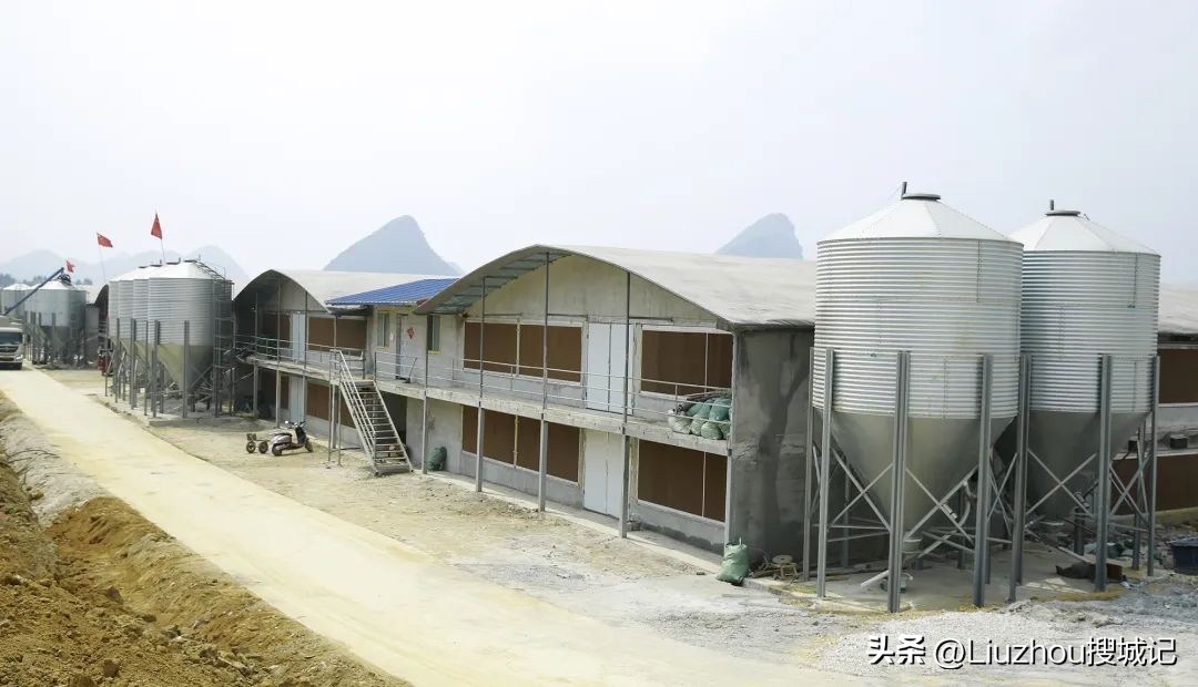 跟着广播看乡村,跟着老乡看乡村振兴