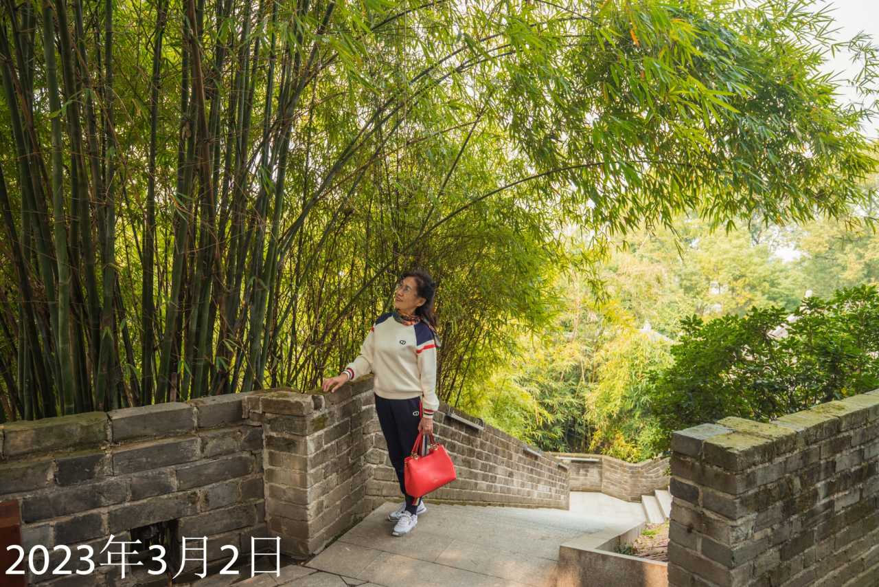 芙蓉镇古镇游记,岳阳楼旅游攻略游记