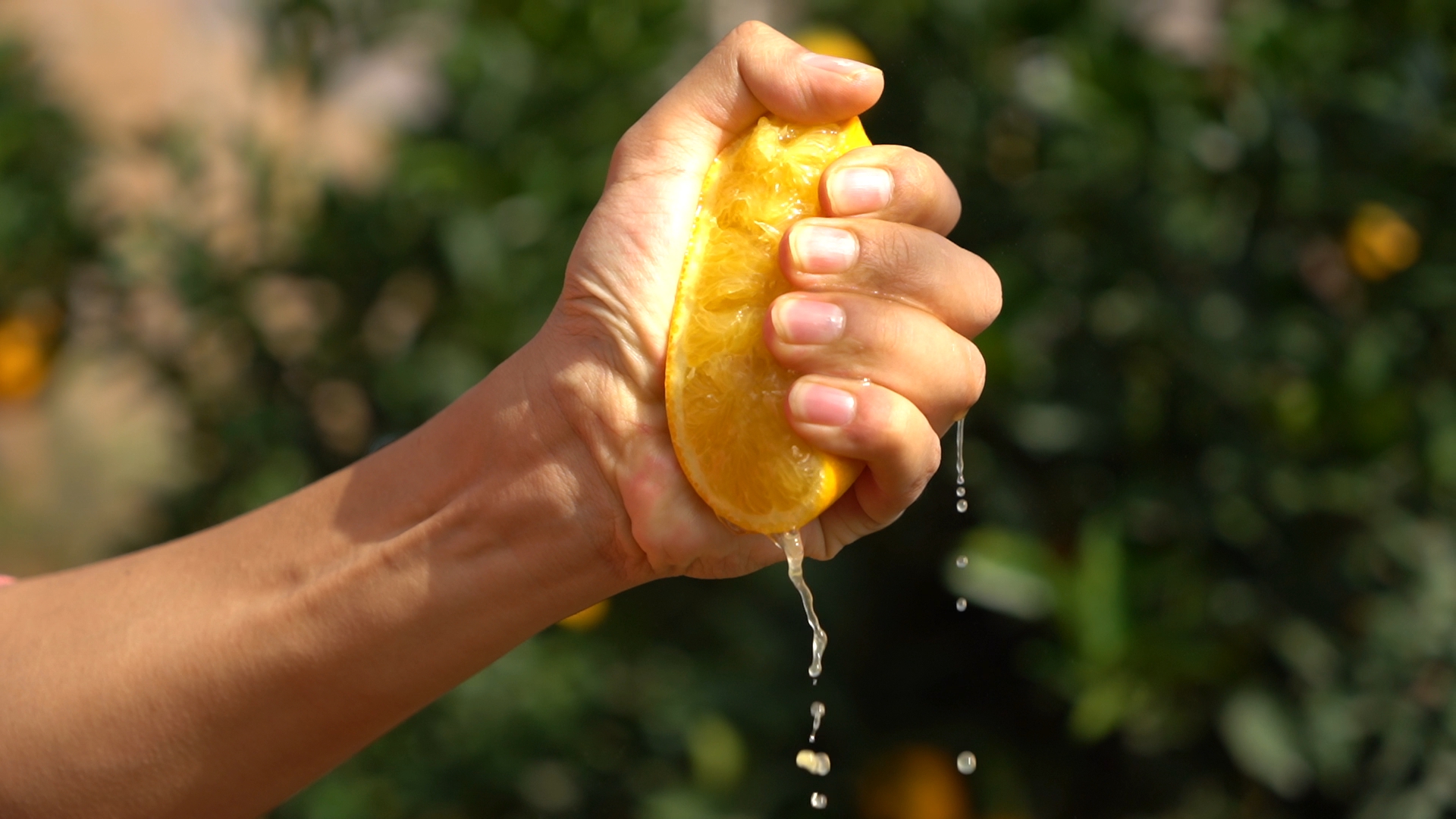 “世界橙乡”95后大学生结伴创业，借拼多多年销脐橙上千万