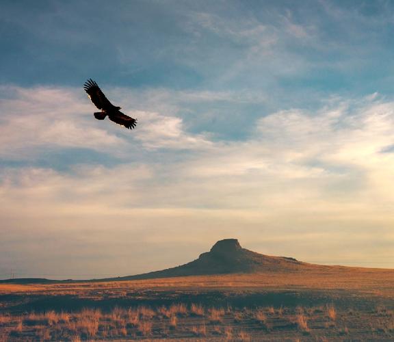 暑假我的梦想该怎么写,我的暑期我的梦作文200字