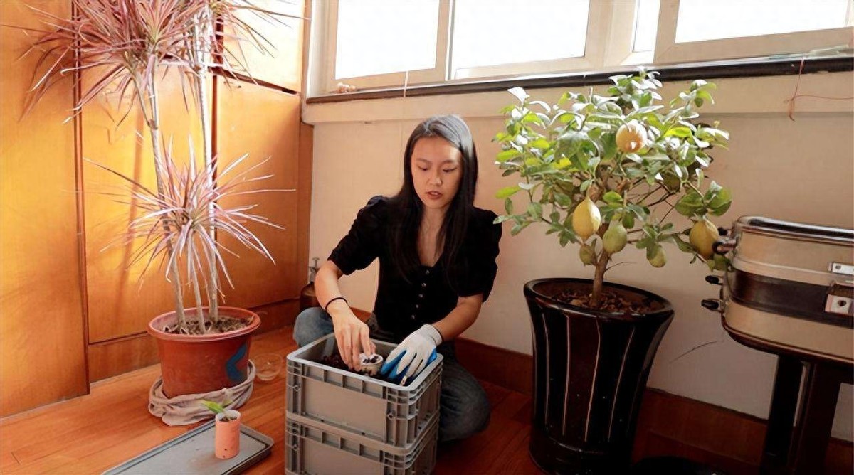 山东女孩苏一格极简生活,苏一格抖音