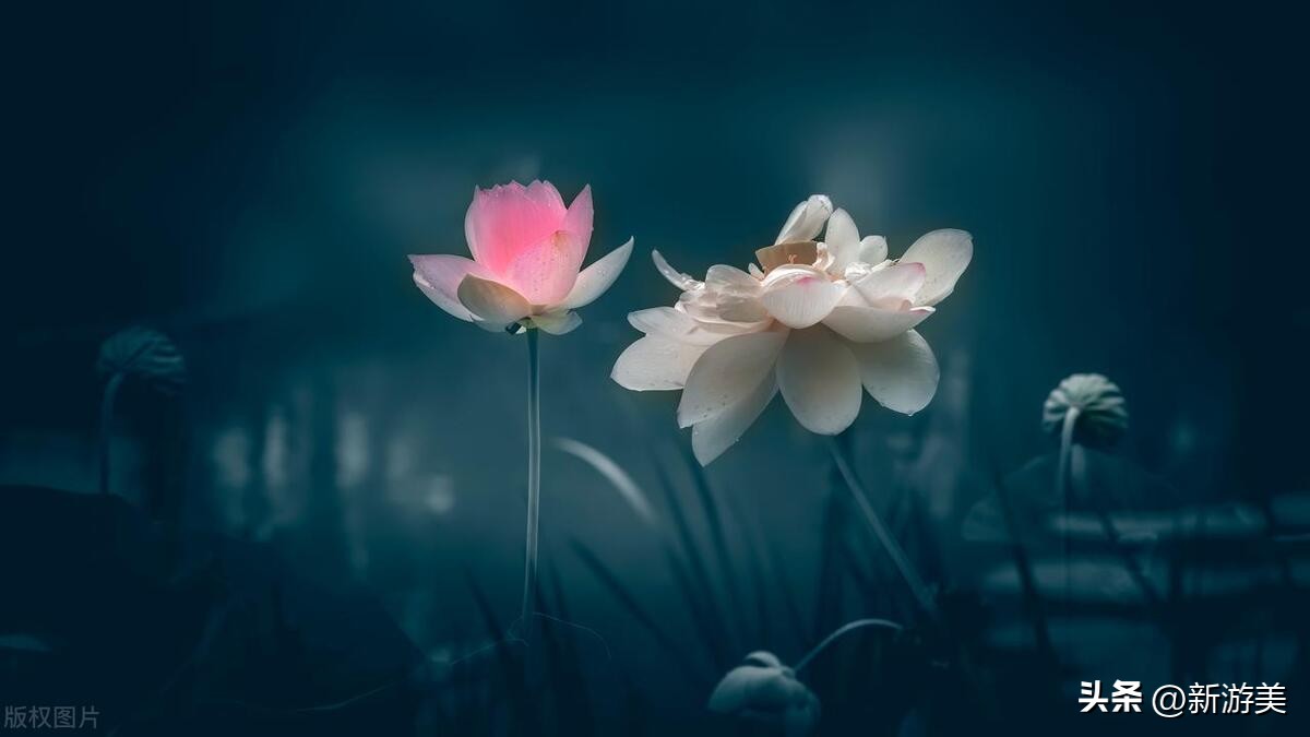 延华智能会亏本吗,延华智能有无退市风险