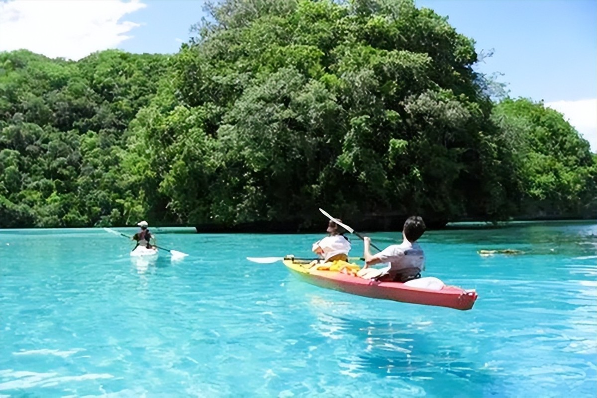帕劳停飞中国航班,帕劳日本飞机