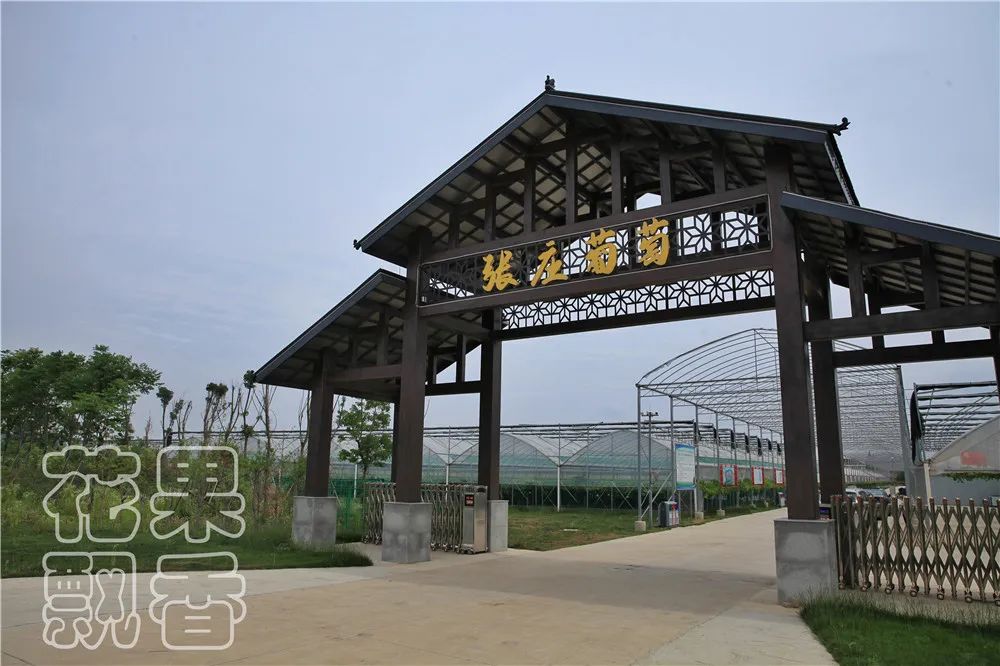 农业创收有妙招,农业应该怎么赚钱