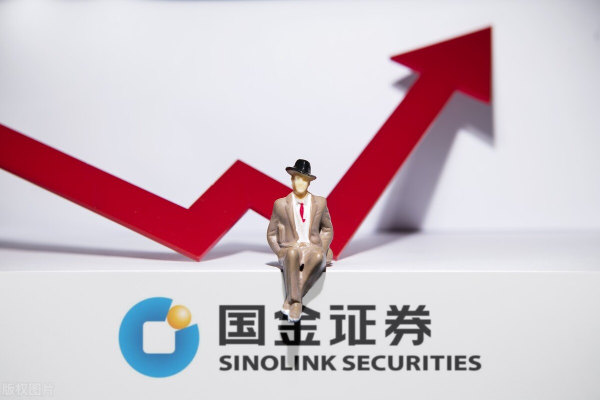 国金证券股东排名,国金证券A股