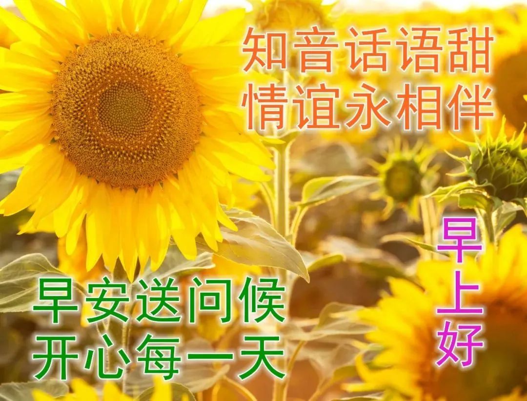 精美早上好动态表情包图片大全,最新早上好表情包动态图片大全