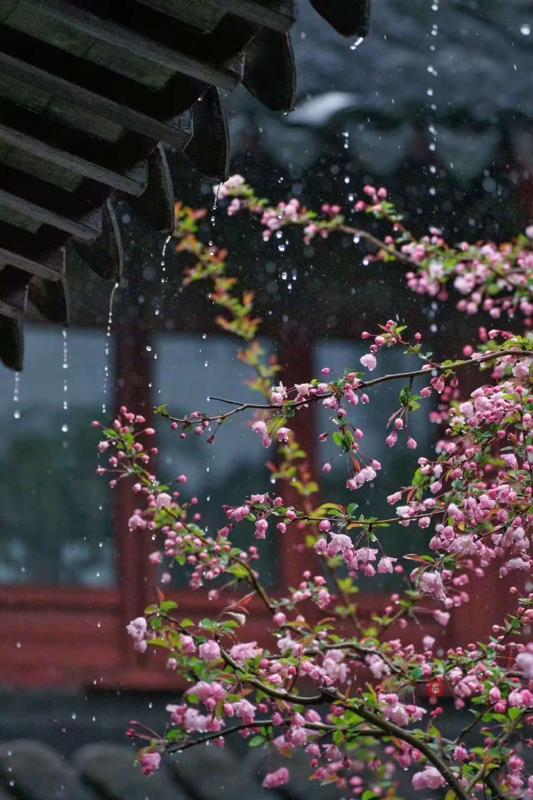 健康开心的活着是人生的最美境界,健康的活着适当的忙着开心的活着