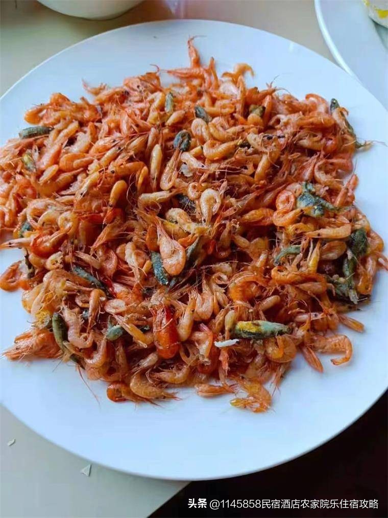 白洋淀农家打鱼,白洋淀农家院野钓推荐