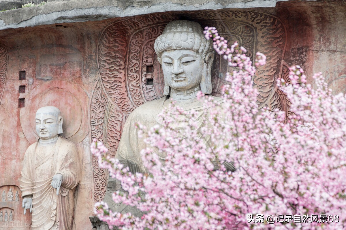 十七个赏樱花的好去处,适合看樱花的景点