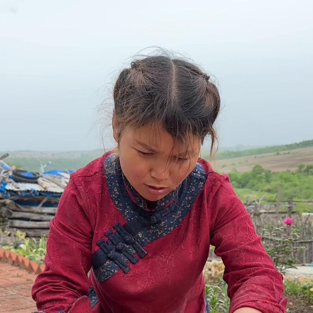 大山里不起眼的老母猪耳朵，也能做出这么好喝的苗条茶。#牛蒡