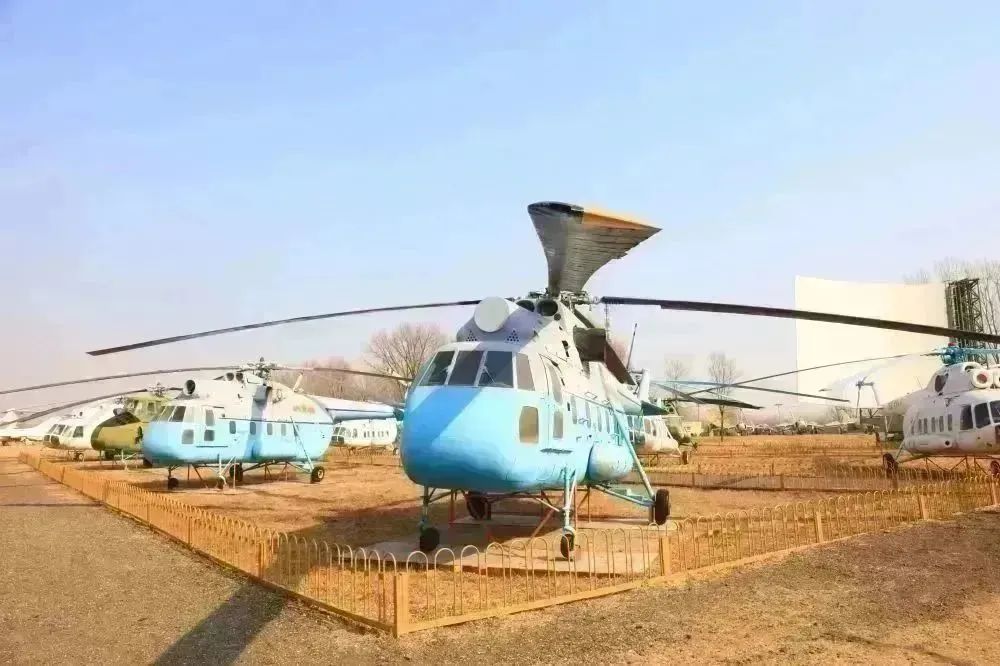 带你去大山采摘樱桃,小爱樱桃