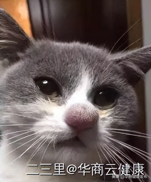 实用知识：赏花被蜂追，摆啥姿势安全？