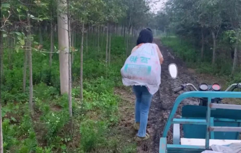 95后女大学生辞职返乡种地,95后女生返乡创业养鹅