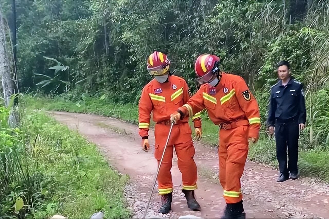 恐怖剧毒蛇吃蛇上演毒蛇互吞大战,罕见蛇吃蛇