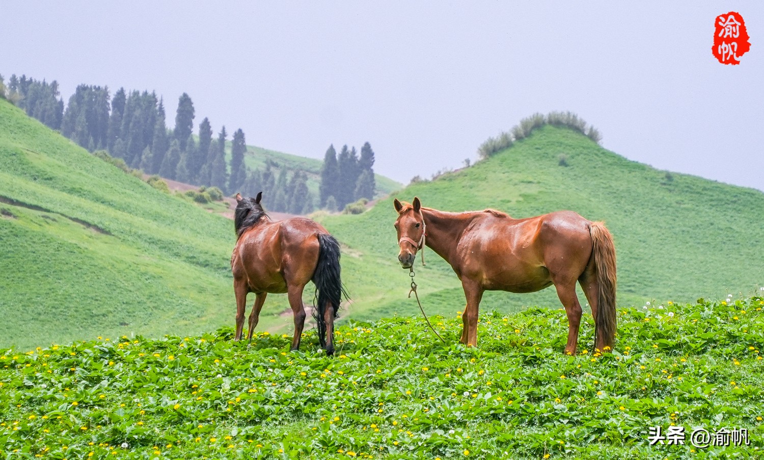 天山下的那拉提,陶渊明笔下世外桃源的美景