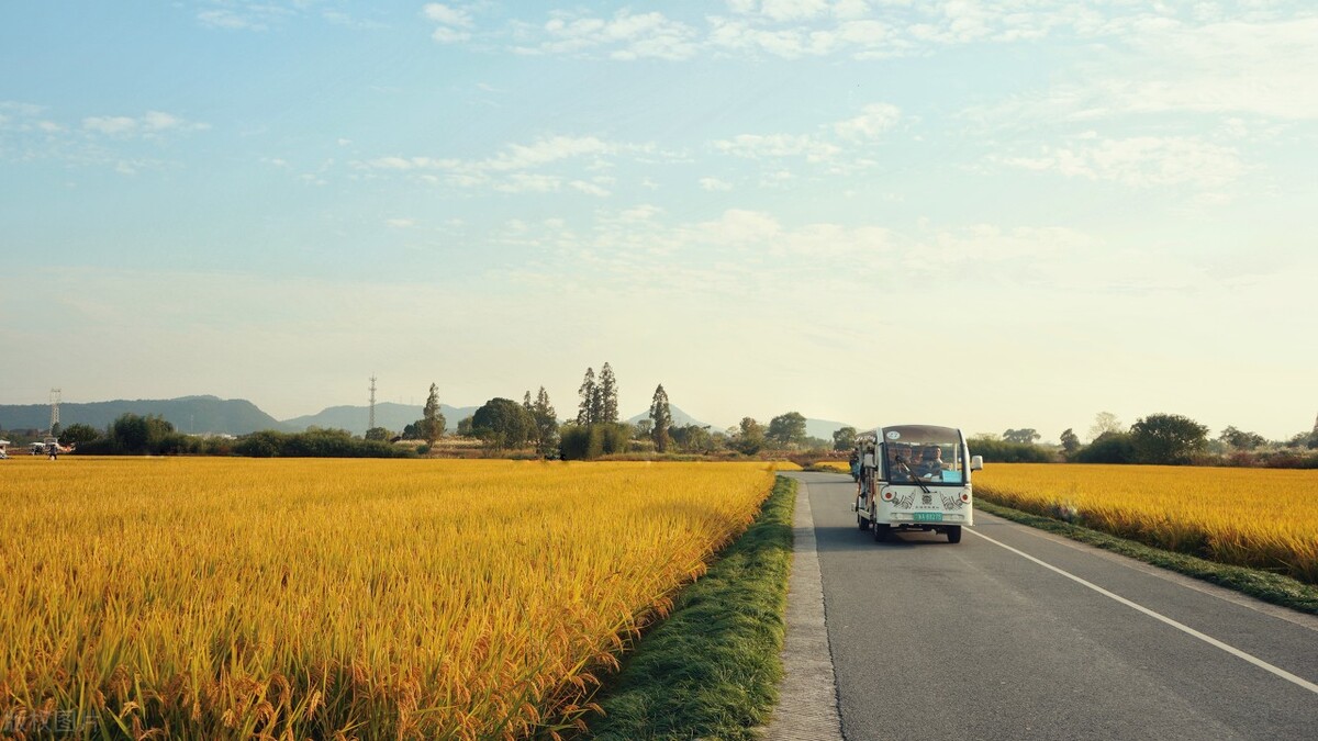 杭州旅游打卡必去景点推荐,最新杭州旅游攻略打卡必备景点