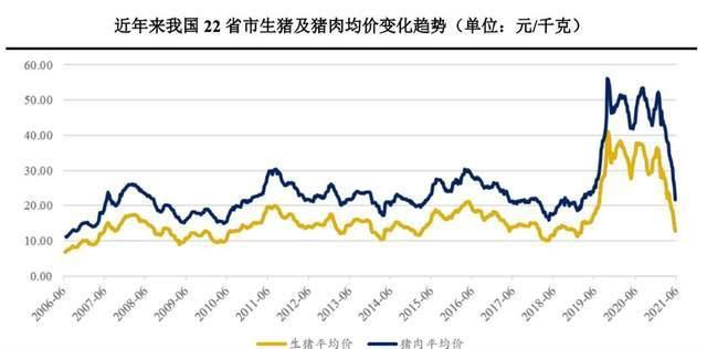 泰国首富最新投资消息,正大股份正式冲击a股ipo