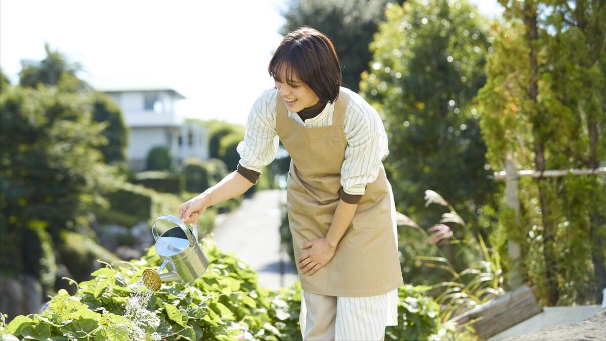 甲减，总是乏力怕冷？一张经典方，疏肝健脾益气，唤醒身体活力