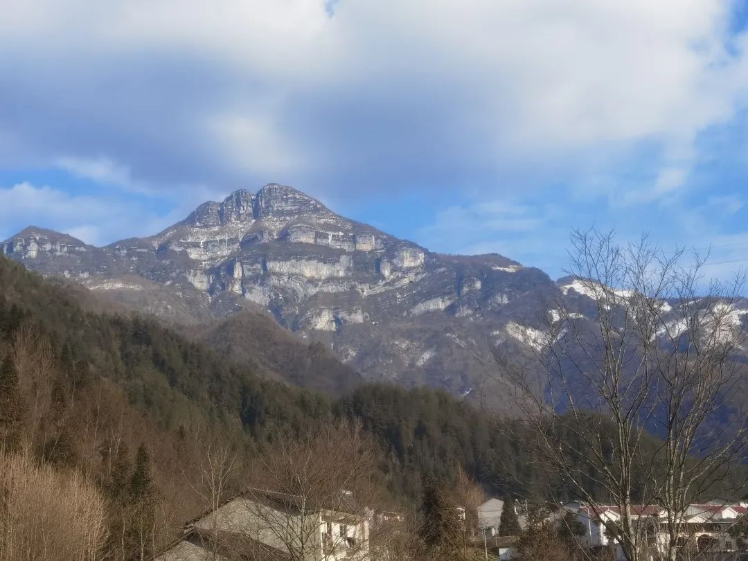 重庆乡村振兴示范村名单,重庆乡村一日游哪些地方好耍