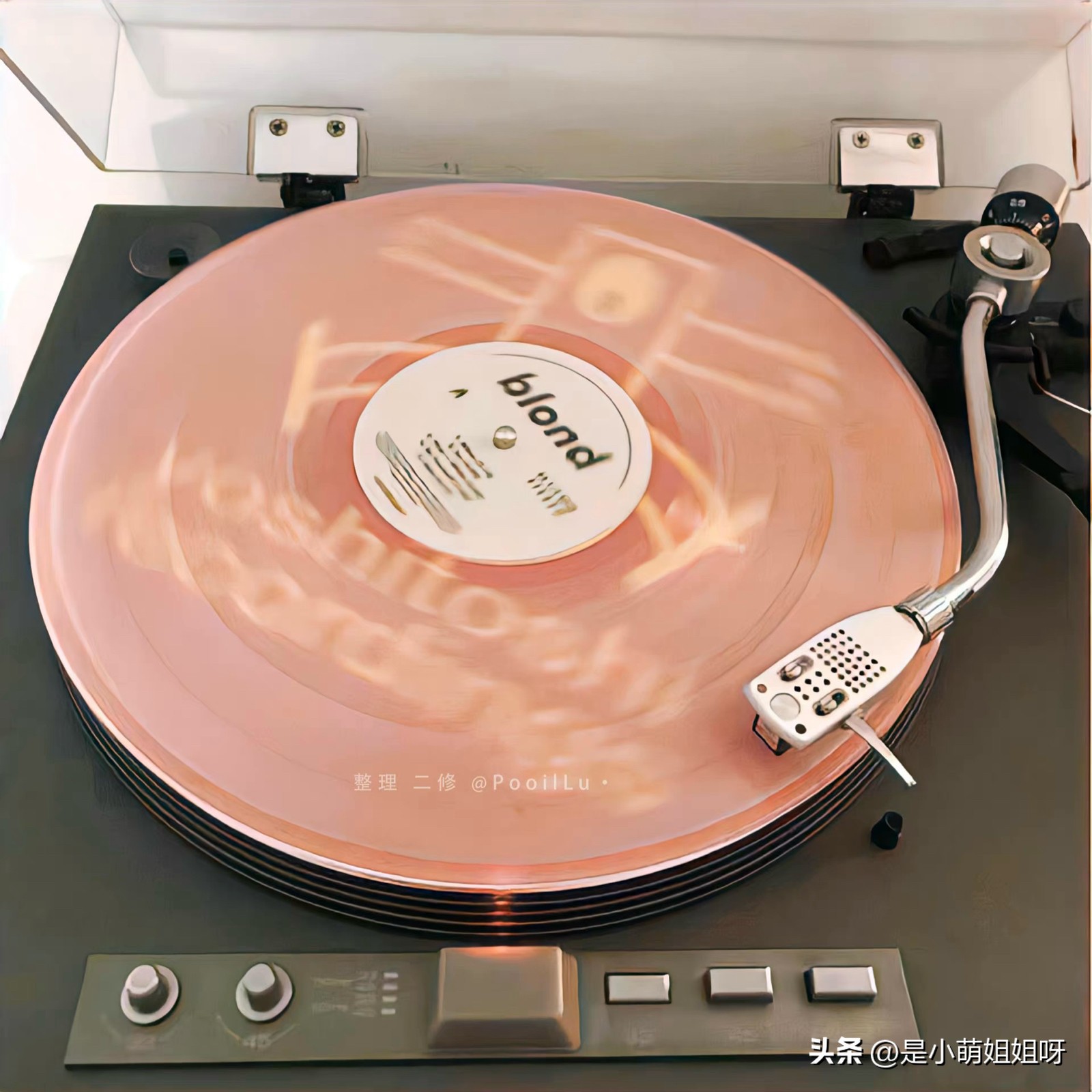 从零开始做自媒体一年赚多少元,一个新手做自媒体怎么赚钱