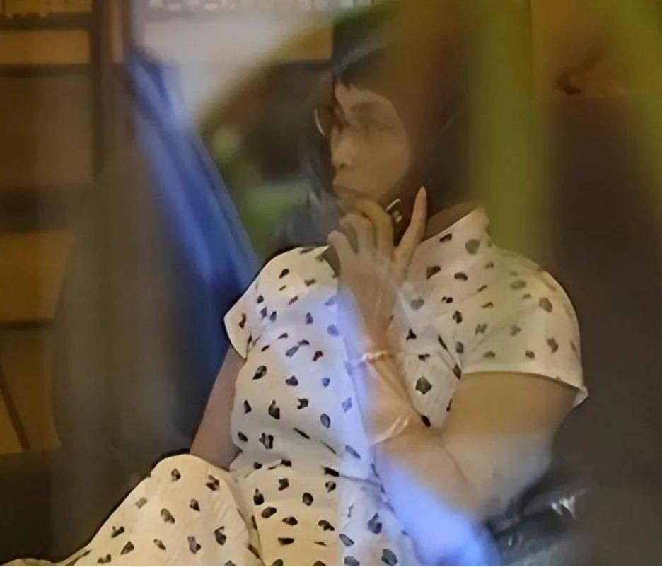 广西毒蛇女王多少斤,广西女子家中藏价值46亿蛇毒