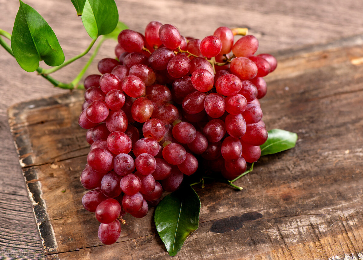 “提子”是葡萄吗？如果是，为什么要把一些葡萄又称为提子？