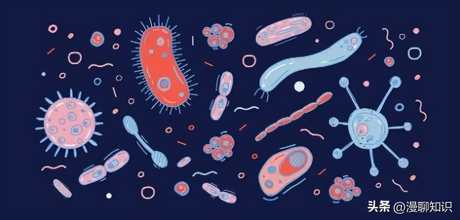 马传染病的传播,马传染性子宫炎