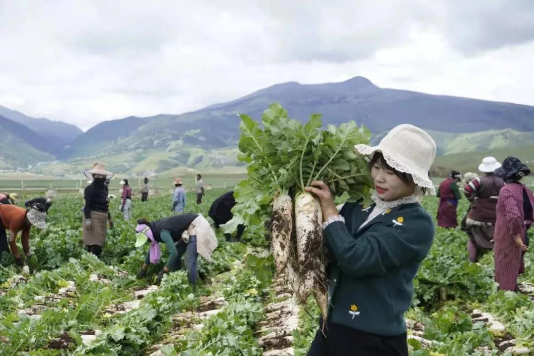 被改写的人生有哪些,被改写的人生经历
