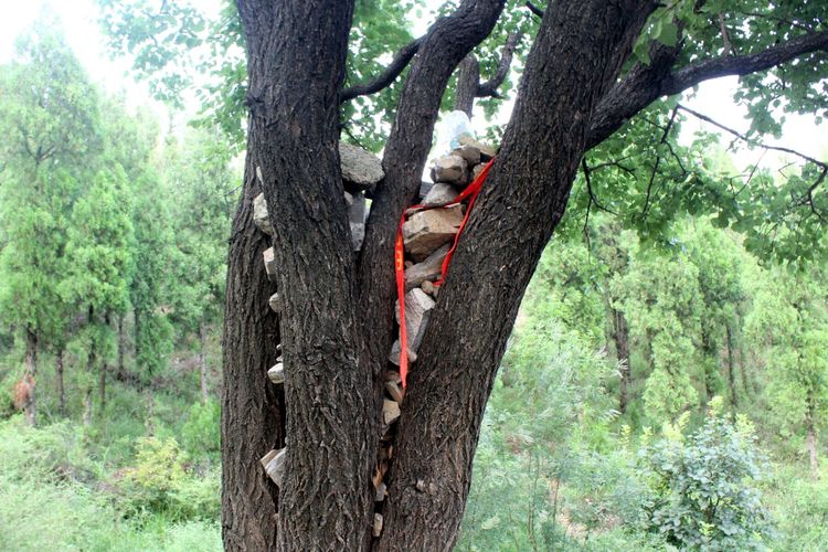 山东青州黄花溪景区图片,山东九寨沟黄花溪