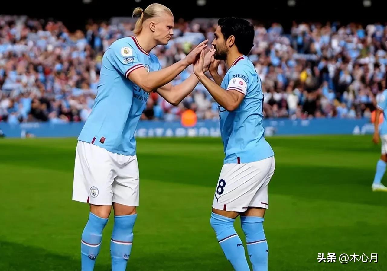 木心月林北辰,木心月解盘