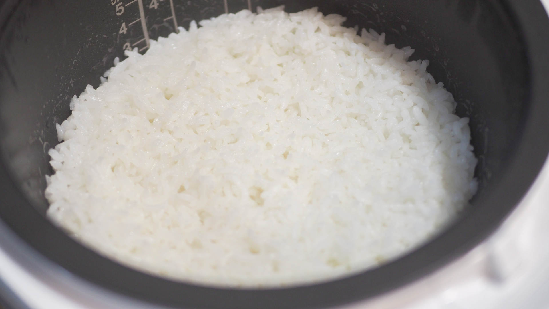 厨艺越差越要好装备｜东芝电饭煲10LTC