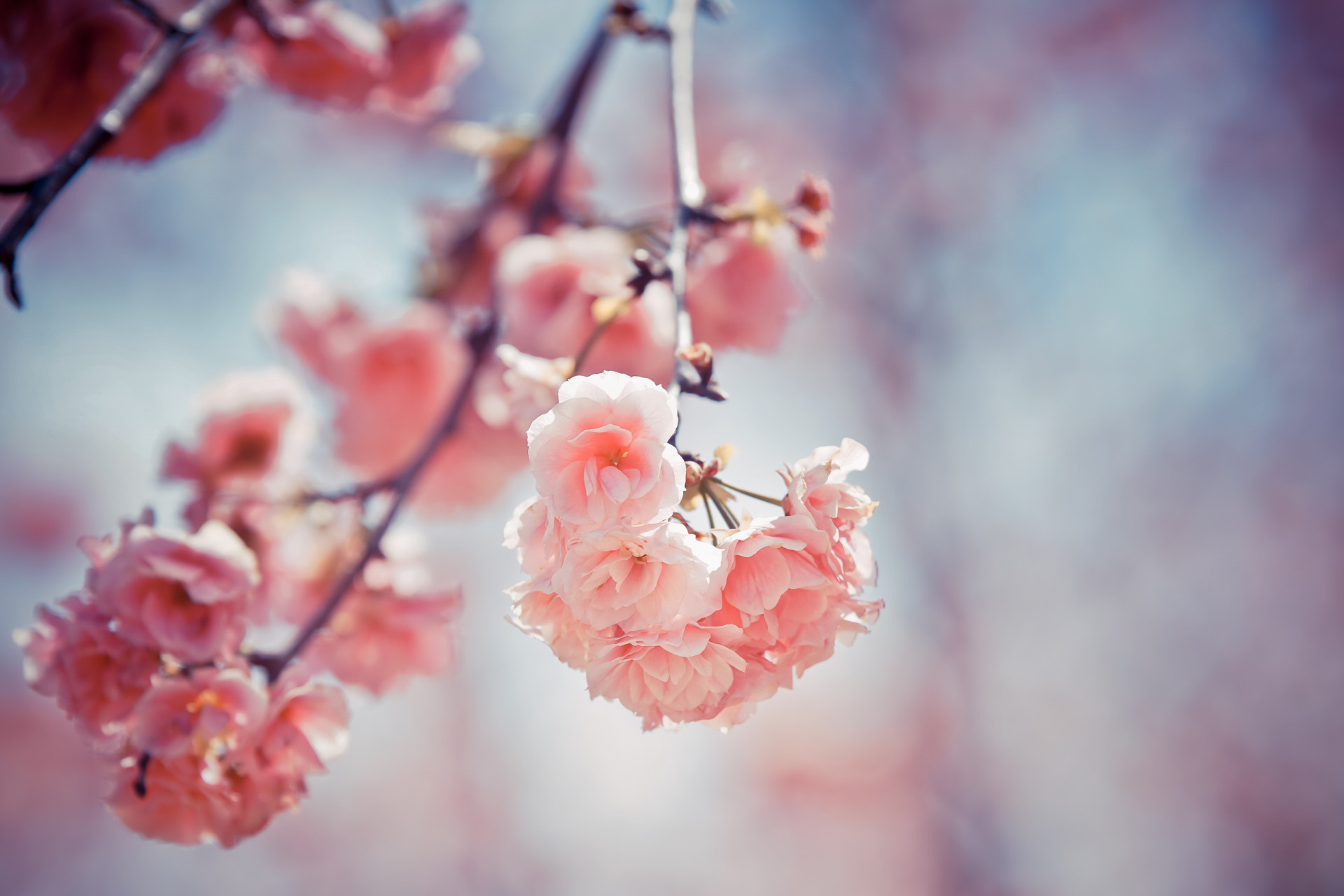 女人想你了会用这3种暗示很准,女人想你了会用三个行为来暗示你