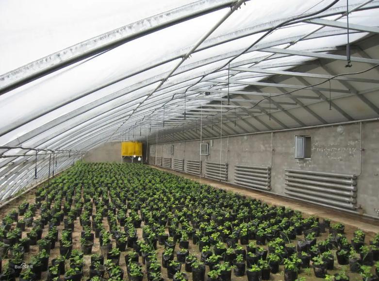 最省钱的蔬菜大棚建造方法,蔬菜大棚建设技术