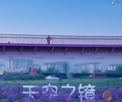 天府绿道骑行路线攻略,第一次骑行天府绿道攻略