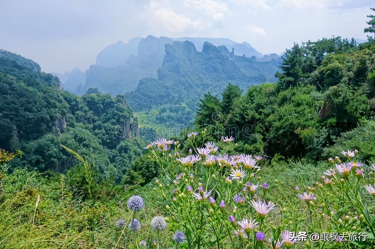 太行云顶清凉圣境王莽岭,王莽岭冬天一日游最佳攻略