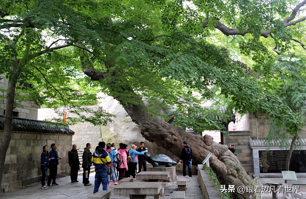 青岛海上名山第一崂山,山东行烟台
