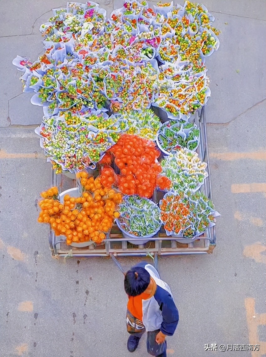 没有人能空手走出采摘园,无人能空手走出斗南花市